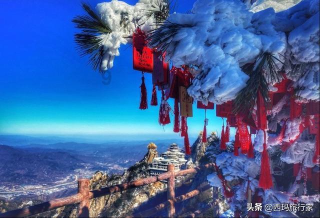 太震撼了！千人速度滑冰马拉松你见过吗？